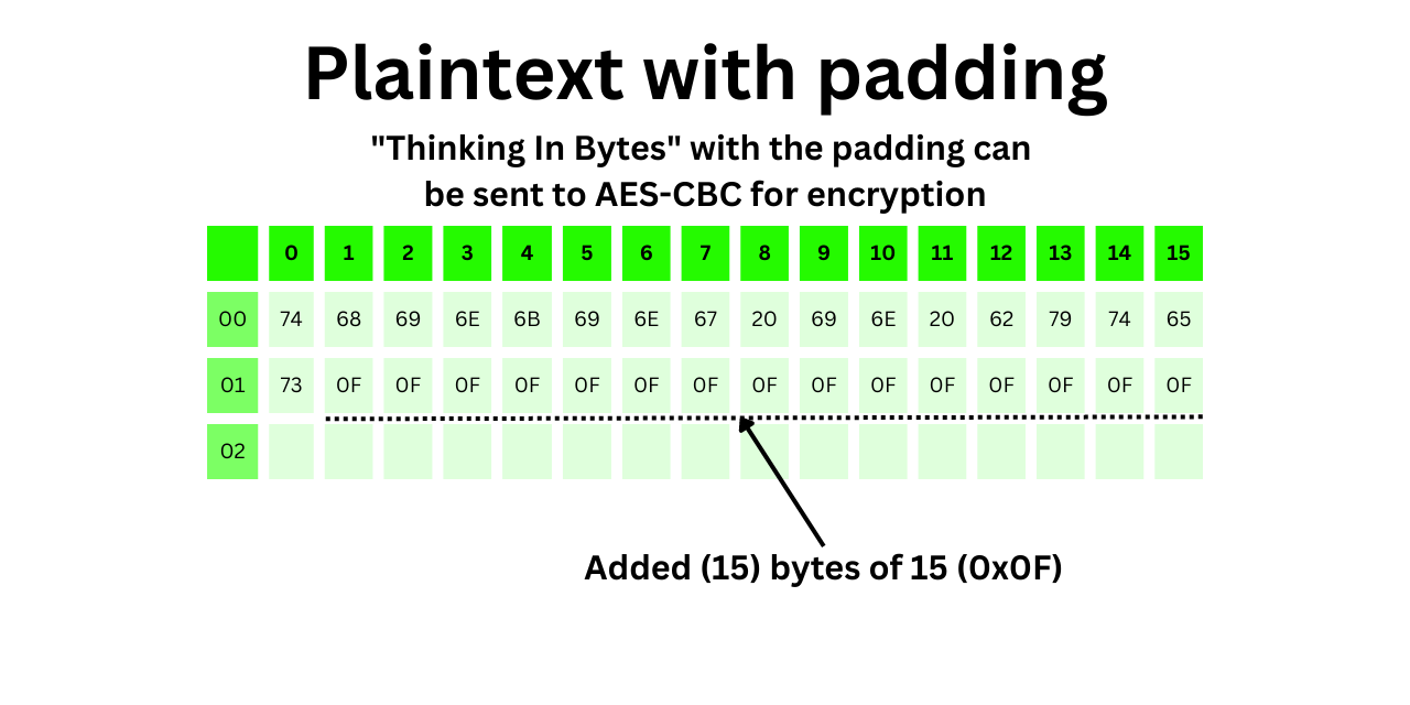 Thinking In Bytes with padding graphic